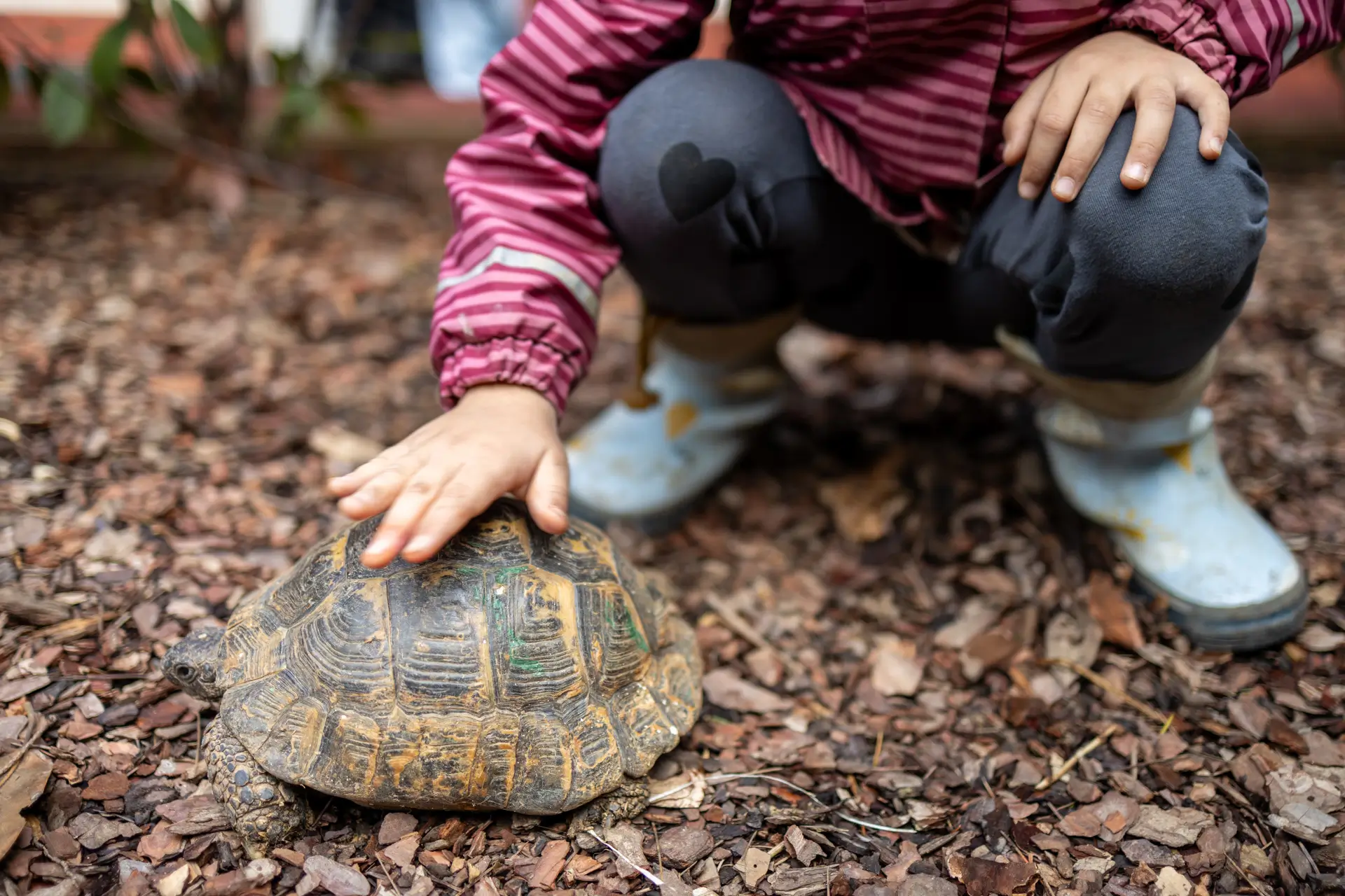 yasadigimizdunya (2)
